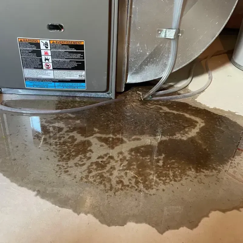 Appliance Leak Cleanup in Wrangell, AK